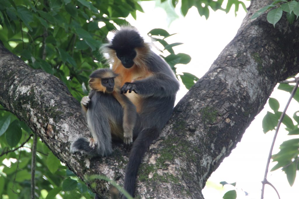 itanagar-wild-life-sanctuary-img